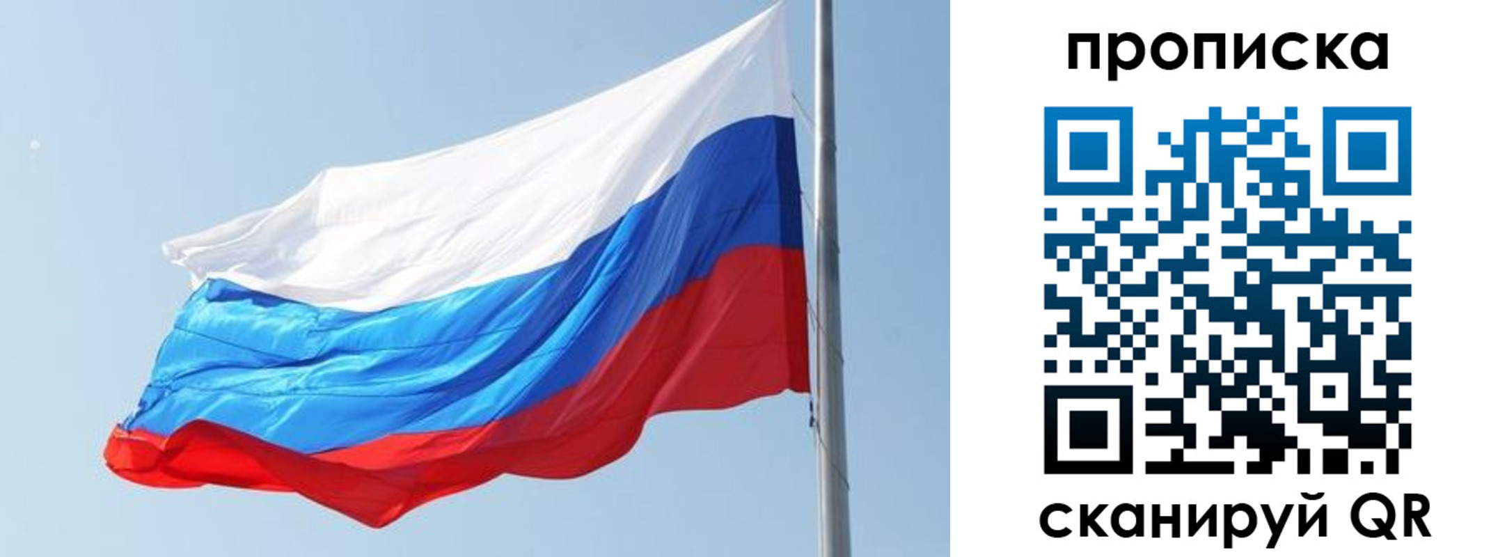прописка для школы в Кашине
